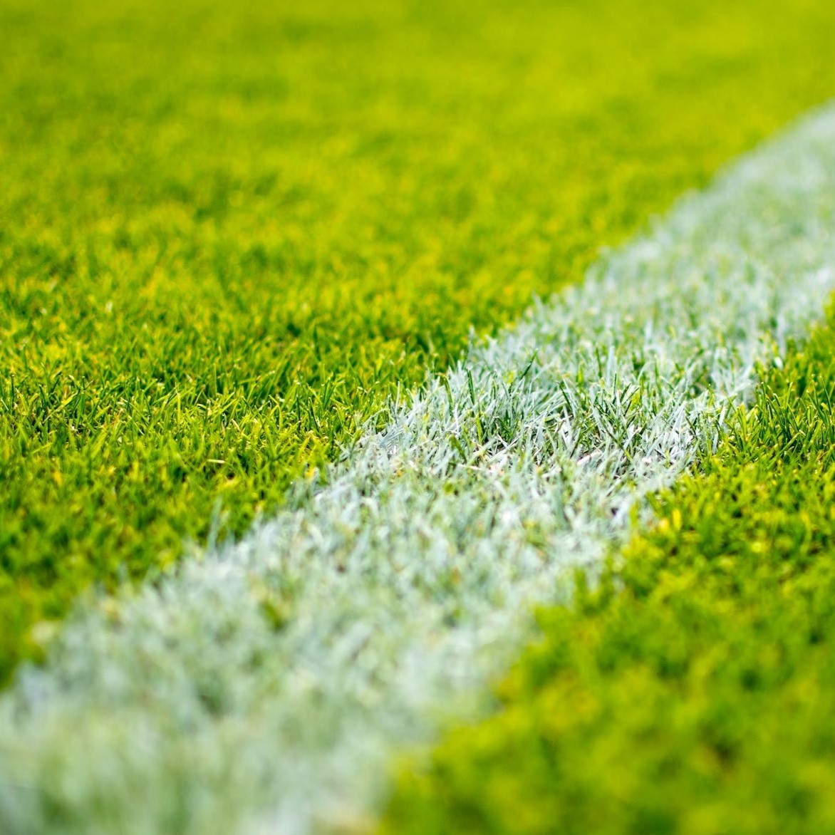 Voetbalveld